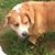 David Lahue's profile image