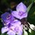 Cheryl Fridl's profile image