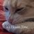 Nick Auxier's profile image
