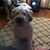 Kathy Sykes's profile image