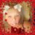 Caroline Hardee Morse's profile image