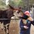 Amber Shafer's profile image