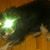 Brian Pomeroy's profile image