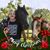 Madonna Sandifer Green's profile image