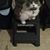Maribeth Libby's profile image