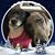 Julie Mims's profile image