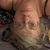 Nora Werme's profile image
