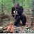 Mike Miller's profile image