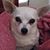 Kim Batson's profile image