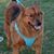 Polly Loomis Kimminau's profile image