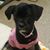Lisa Marie McMullen's profile image