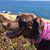 Jenny Christina's profile image