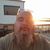 Doug Southern's profile image
