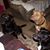 Judi Rutledge Anderson's profile image