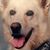 Bob Stewart's profile image