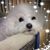 Mary Jane Greenlaw-Essary's profile image