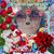 Alicia Fernandes's profile image