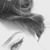Rana Issa Yousif's profile image
