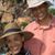 Jan Daugherty's profile image