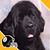 Gail Paceley's profile image