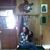 Brenda Lea Doyle's profile image