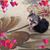 Truman Frank Williams's profile image
