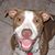 Jim Branin's profile image