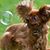 Andrea Bennett's profile image