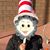 Elodia Oaks's profile image