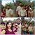 Ana Armenta-Arteaga's profile image