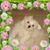 Patricia Sullivan's profile image