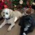 Pam Tedesco's profile image
