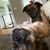 Susan Wilson Mello's profile image