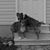 Anita Brixey's profile image