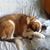 Cindy Huelat's profile image