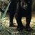 Tresa Tackett's profile image