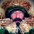 Mark Pearce's profile image