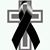 Sanchez Mauri's profile image