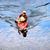 Uwe Nehring's profile image