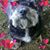 Wendy Kirkland's profile image