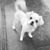Susan Cate Shelton's profile image