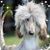 Casper Milan Cassarino's profile image