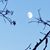 Bonnie Budde's profile image