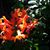 Julie Noble's profile image