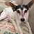 Renee Proveaux Stewart's profile image