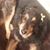 Michele Young Braid's profile image