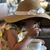 Sue Whitsell's profile image