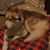 Tommie Sue Oakley's profile image