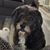 Dawn Blankenship's profile image