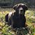 Michele Masiello's profile image